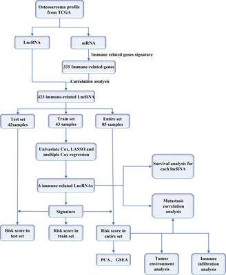 Construction of an Immune-Related lncRNA Signature That Predicts Prognosis and Immune Microenvironment in Osteosarcoma Patients